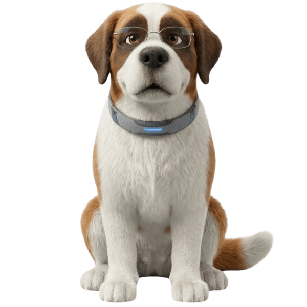 Mascotte Bernix.ch : L'expert chien Saint-Bernard